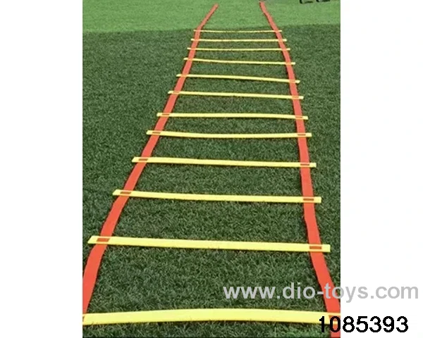 Training Agility Ladder in Poly bag