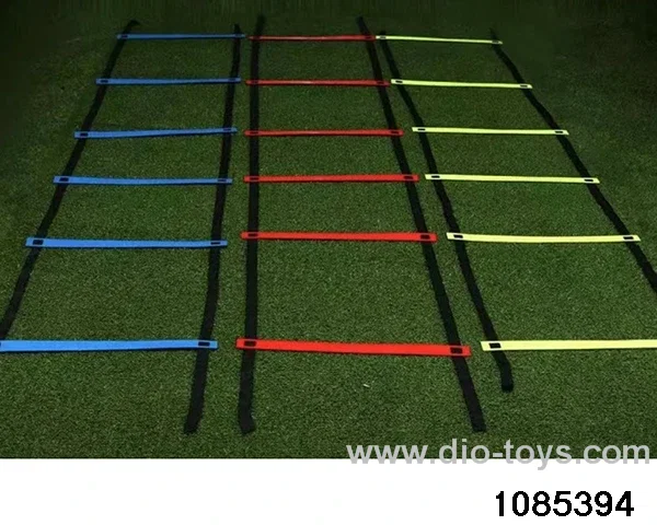 Training Agility Ladder in Poly bag