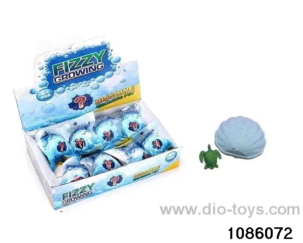 Turtle shells in 12pcs display box