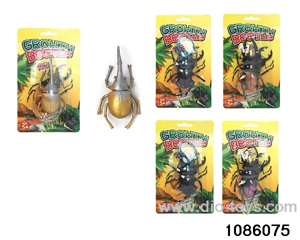 Soak and Swell Wild Beetles in paper card