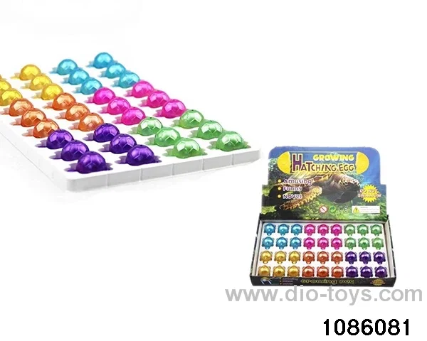tortoise egg in 36pcs display box