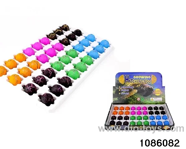 tortoise egg in 36pcs display box