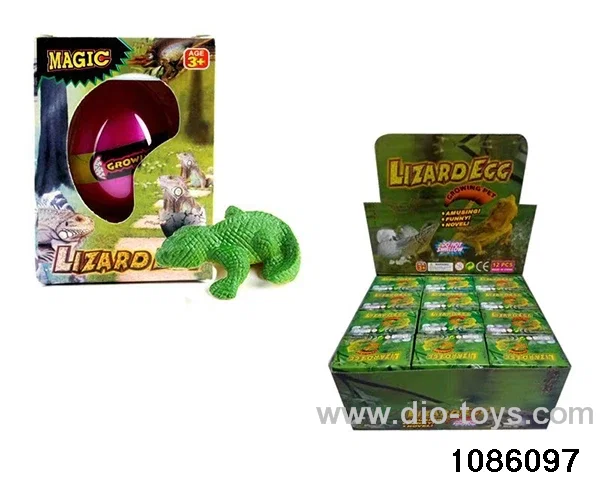 lizard egg in 12pcs display box