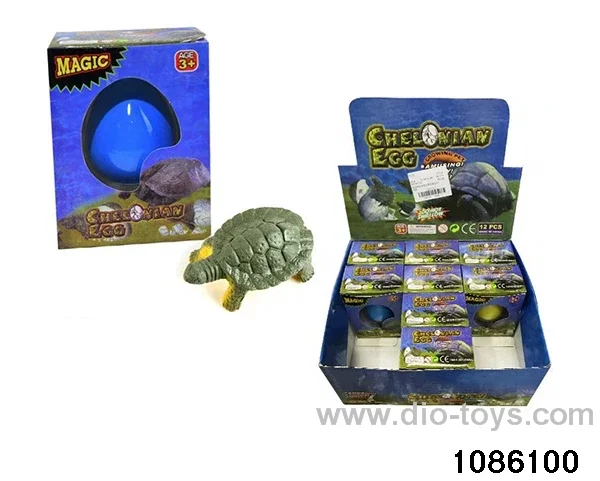 tortoise egg in 12pcs display box
