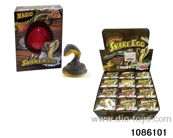 boa constrictor's egg in 12pcs display box