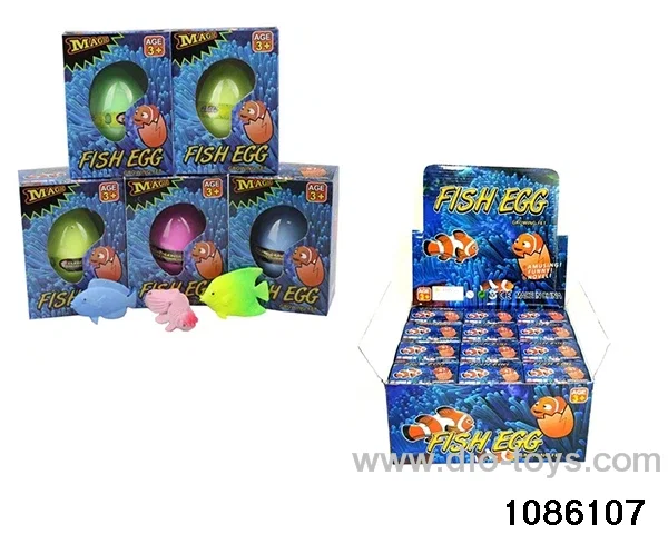 tropical fish in 12pcs display box
