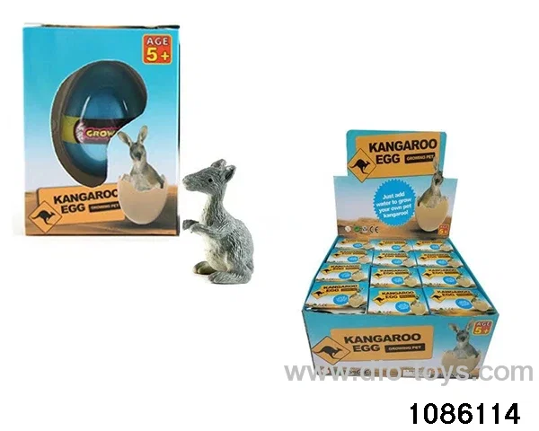 kangaroo egg in 12pcs display box