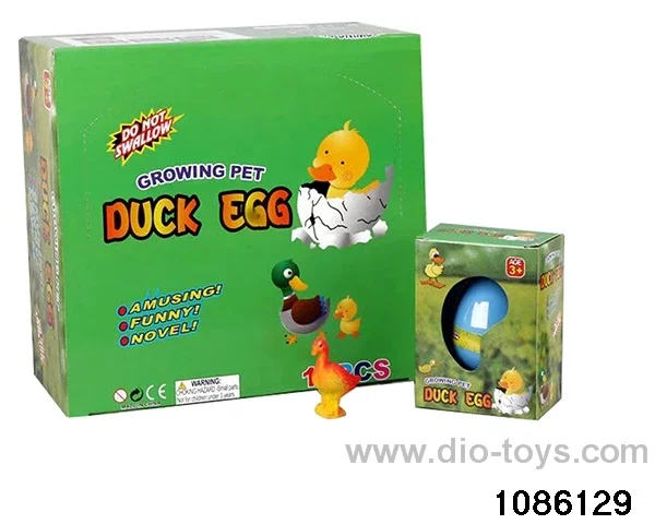 duckling egg  in 12pcs display box