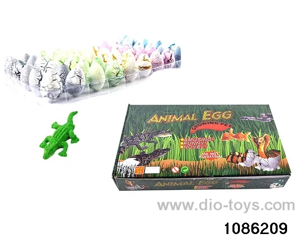 crocodile egg in 60pcs display box