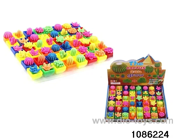 ball cactus in 48pcs display box