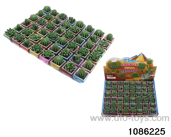 ball cactus in 48pcs display box