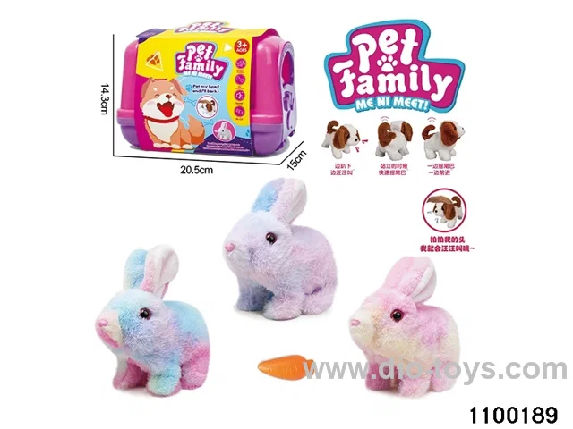 Electric Plush Toys in paper card