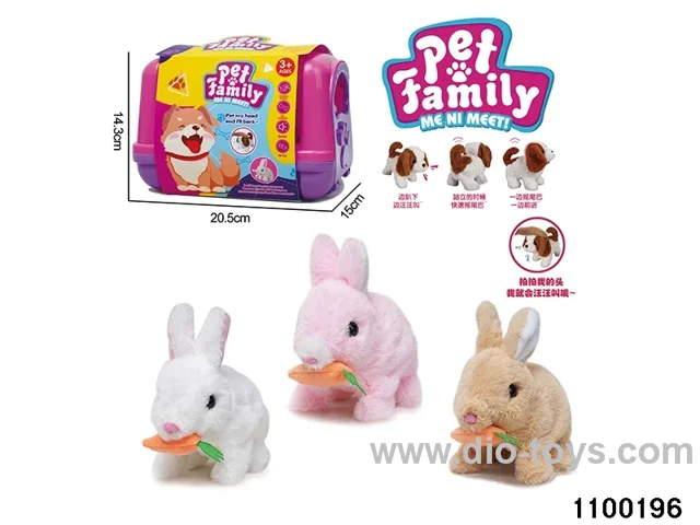 Electric Plush Toys in paper card