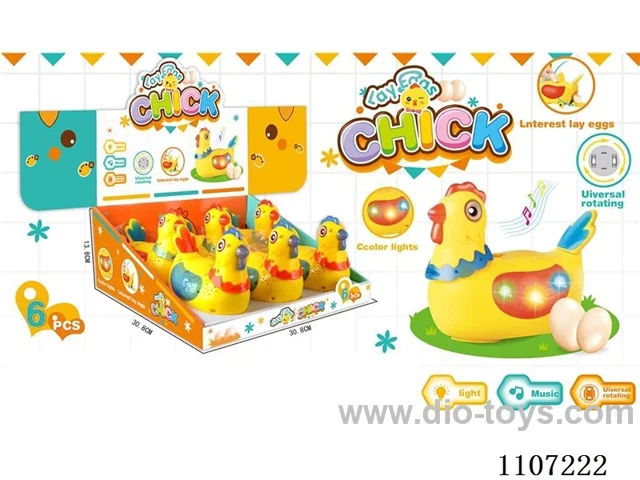 Laying pullets /6 packs