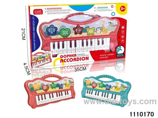 musical instrument