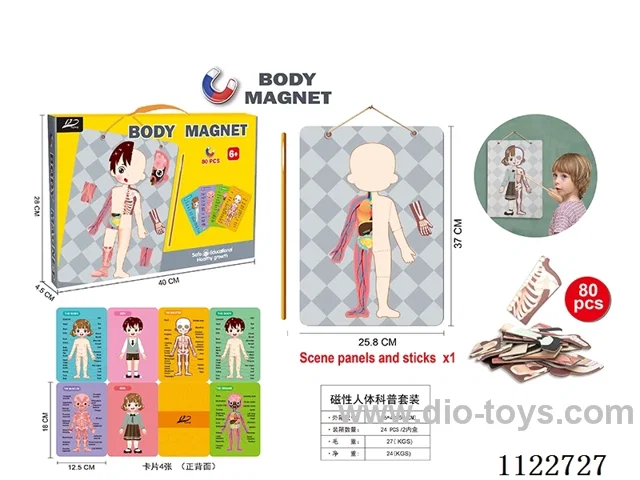 Human body science education magnetic set