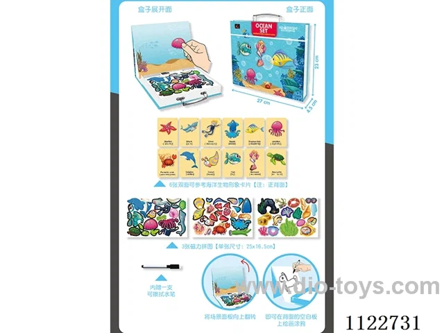 Marine magnetic puzzle