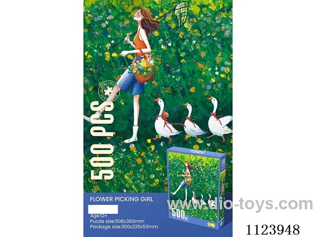 500 piece puzzle
