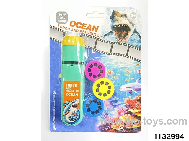 Torch Projector