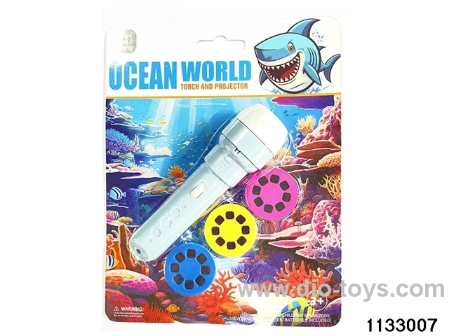 Torch Projector