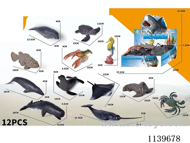 12 Marine Animals