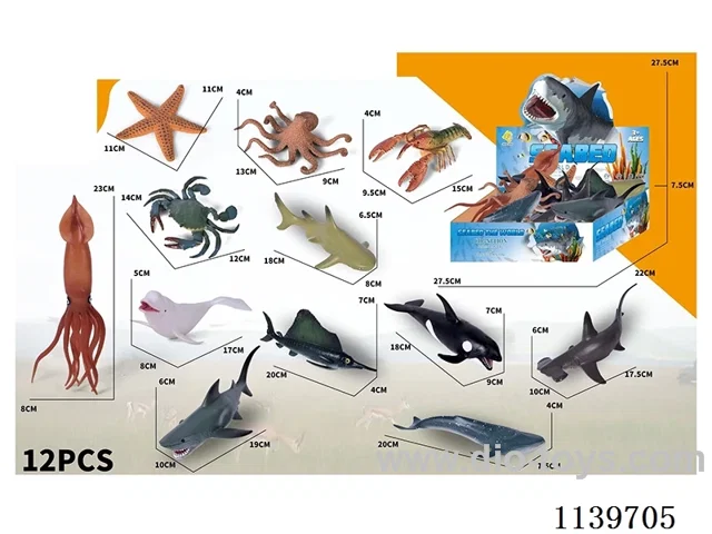 12 Marine Animals