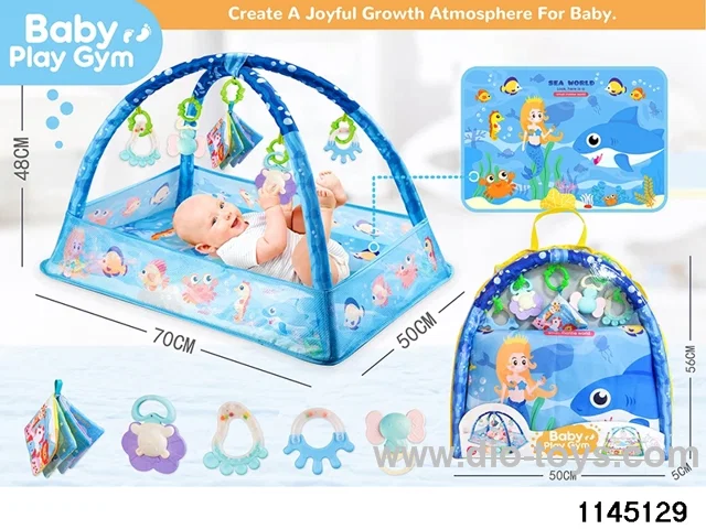 Baby Gym Blanket
