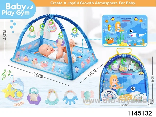 Baby Gym Blanket
