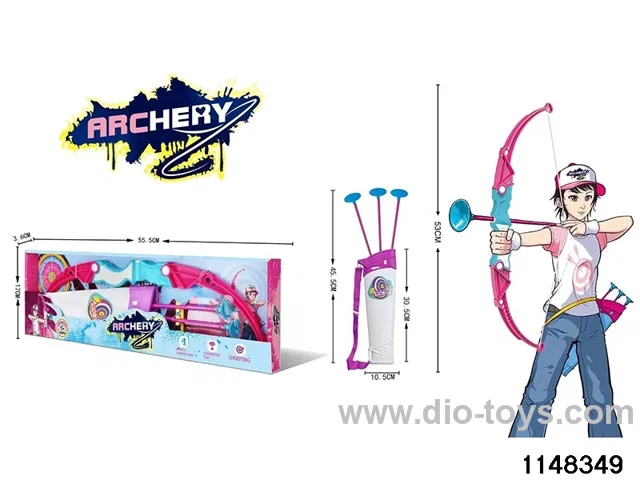 Bow and Arrow Set