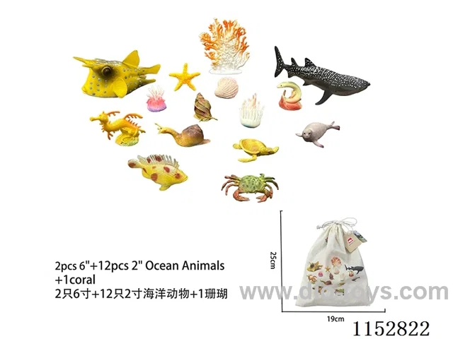 Ocean
