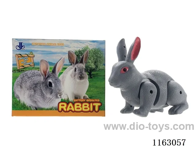 B/O rabbit