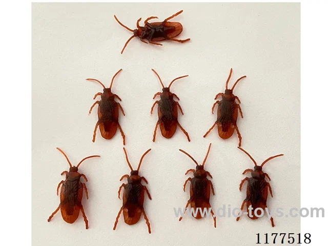 Little cockroach