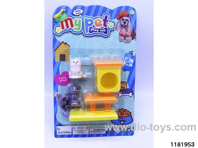 Kitten + House