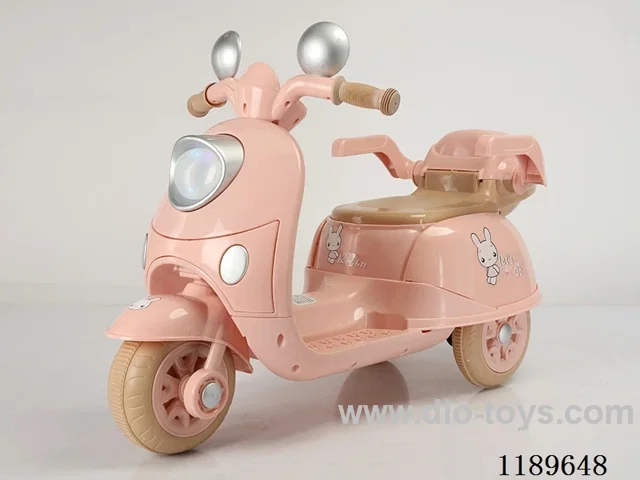Electric motorcycle with sidecar