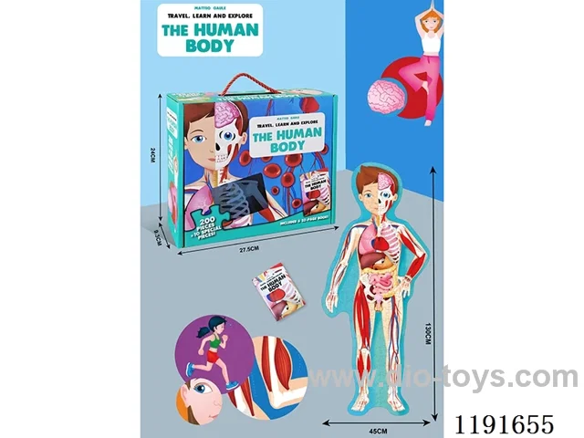 Human Body Jigsaw 200PCS