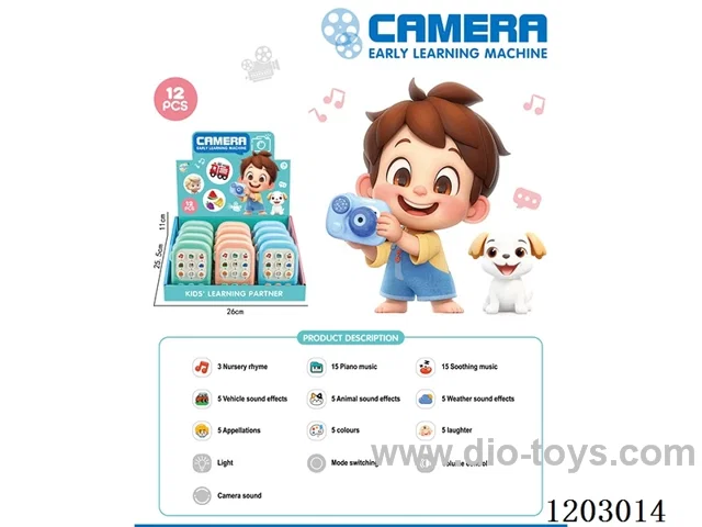 Projection Camera