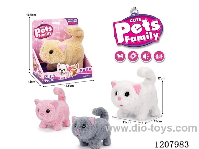B/O pet(4colour mix)