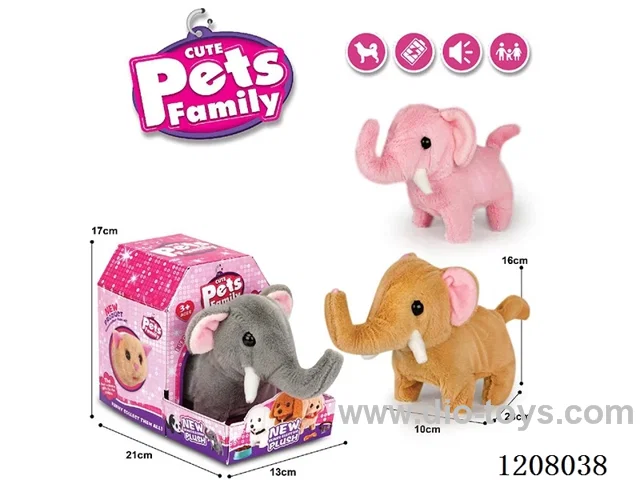 B/O pet(3colour mix)
