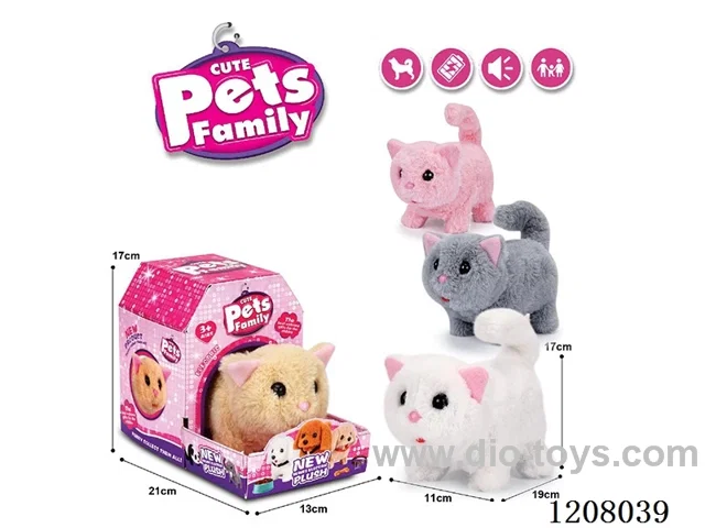 B/O pet(4colour mix)
