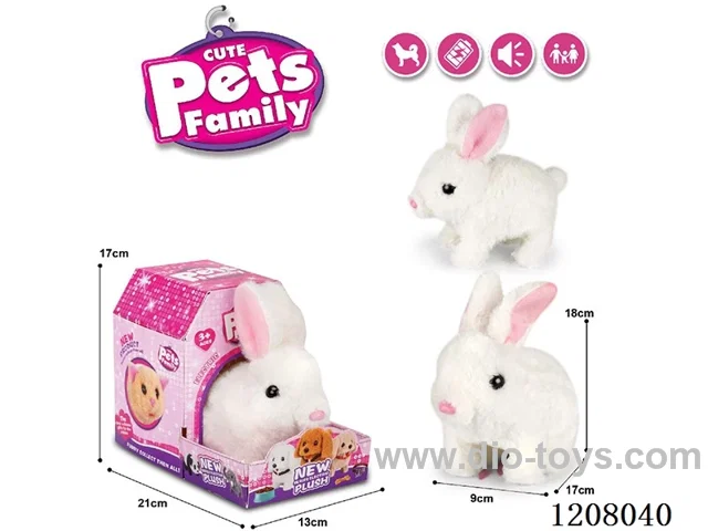 B/O pet