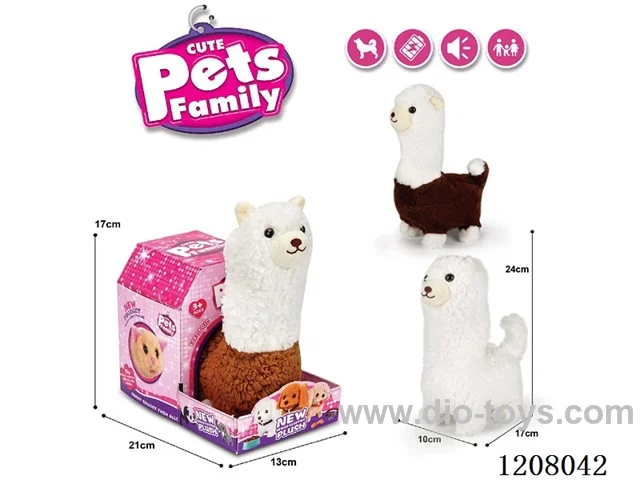 B/O pet(3colour mix)