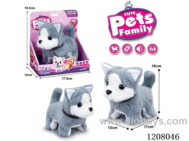 B/O pet