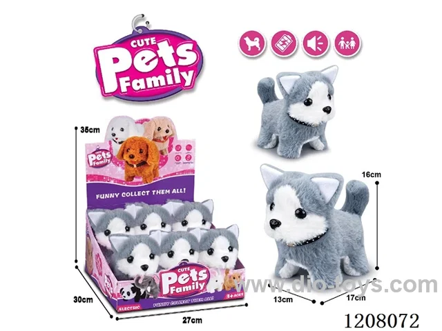 B/O pet