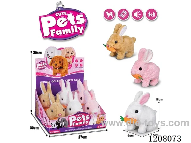 B/O pet(3colour mix)