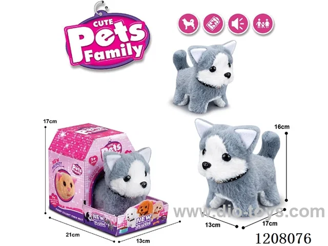 B/O pet