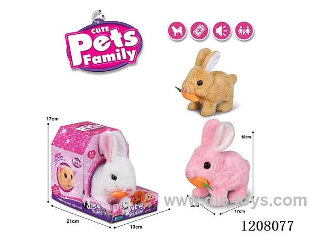 B/O pet(3colour mix)