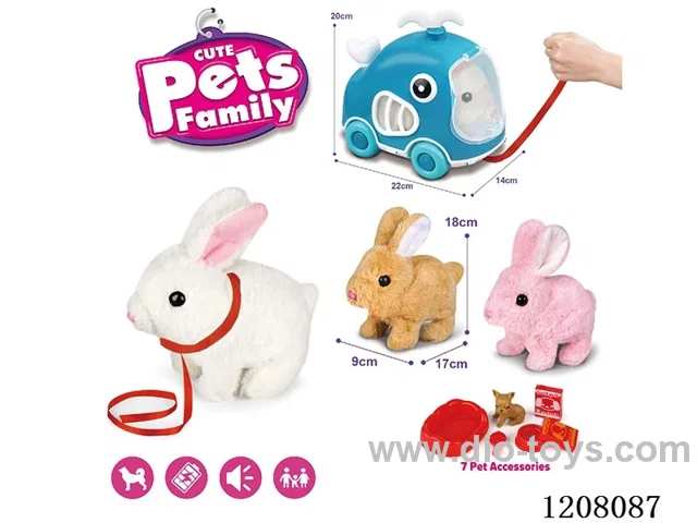 B/O pet