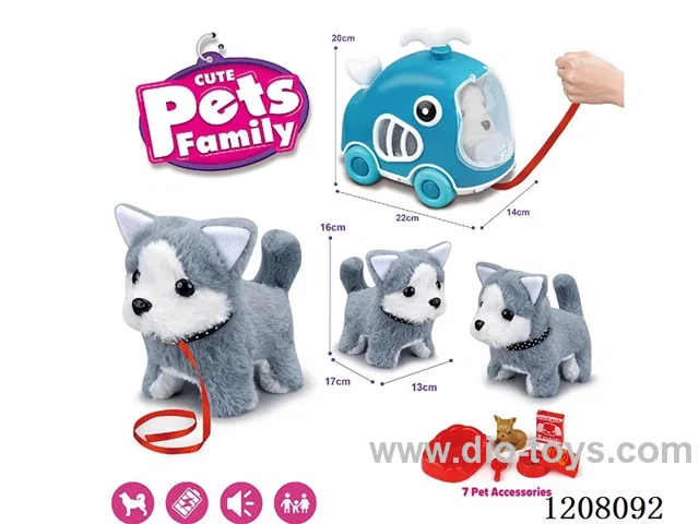 B/O pet