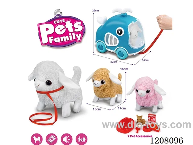 B/O pet