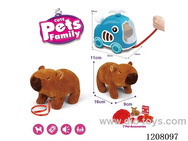 B/O pet